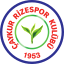 Rizespor logo